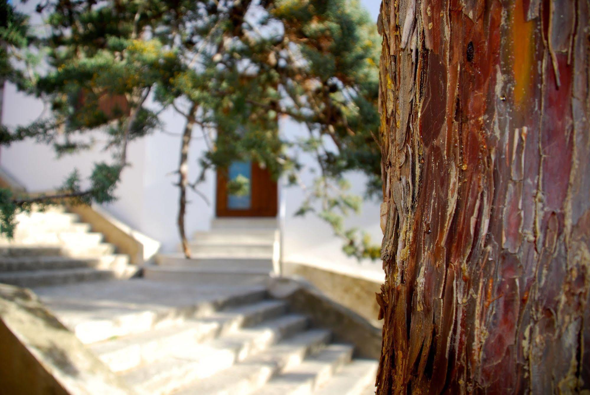 Apartamento Rural Castillo De Yeste 2 Pax (Adults Only) Ngoại thất bức ảnh